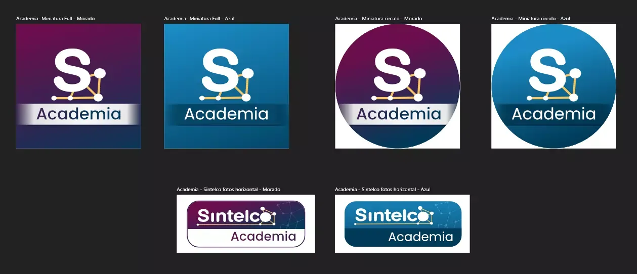 Sintelco Logo